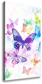 Vászonkép Színes pillangók ocv-60051667