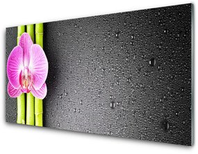 Fali üvegkép Bamboo Orchid Virág 120x60cm 2 fogas