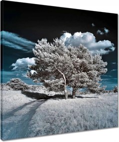 Vászonkép 50x50 Fa