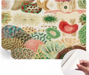 Fali fotótapéta Hálószobába Nappaliba Organikus formák 208x146 cm