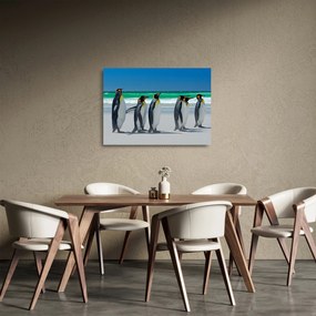 Kép - A Királyi pingvinek csoportja (üvegen) (70x50 cm)