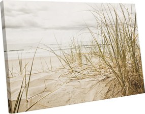 Vászonkép tengerpart dűnék növényzet Modern falikép 100x70