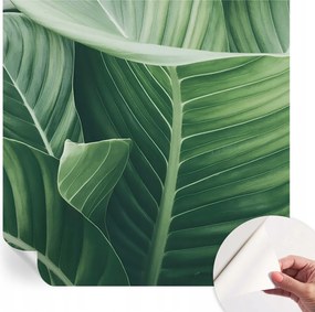 Öntapadós Dekoratív Fotótapéta Hálószobába Zöld nyugalom 250x250 cm