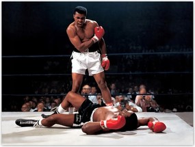 Poszterek 40x30 Muhammad Ali Boxer