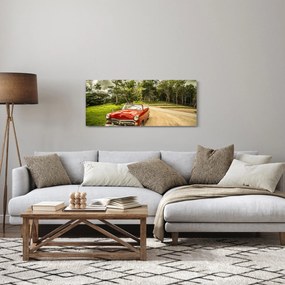 Kép - autó, veterán a természetben (120x50 cm)