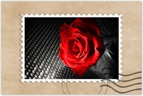 Poszterek 60x40 Piros a szürke között