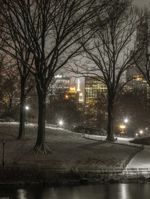 Poszter 30x40cm Central Park éjszaka, Assaf Frank