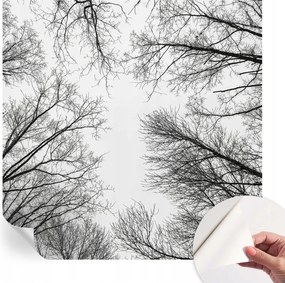 Öntapadós Dekoratív Fotótapéta Hálószobába Meztelen ágak 250x250 cm