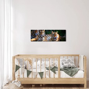 Kép - Tigris testvérek (órával) (90x30 cm)