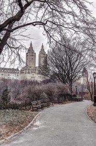 Poszter 53x81cm Ösvény a központi parkon át 2, Assaf Frank