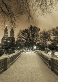 Poszter 42x59,4cm Central Park Bow Bridge Manhattan panorámával, Assaf Frank