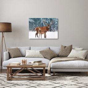 Kép egy szarvasról és őzikéről (üvegen) (70x50 cm)