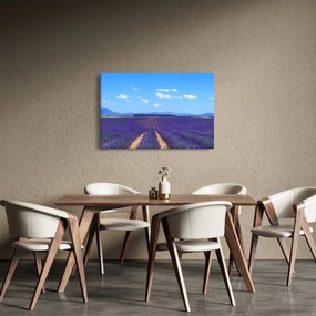 Kép - Levendula mező (90x60 cm)