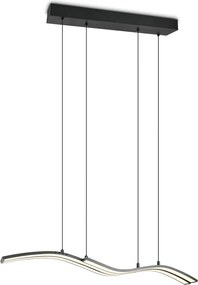 Matt fekete fém LED dimmelhető függőlámpa távirányítóval Spider – Trio Select