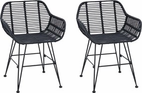 vidaXL Étkezőszék 2 pcs Fekete 55 x 50 x 74 cm Rattan és Vas