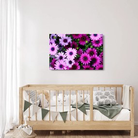 Kép - Virágok (90x60 cm)