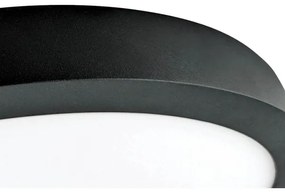 LED Mennyezeti lámpa FENIX LED/32W/230V 3800K