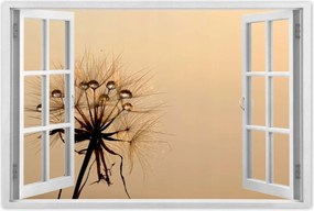 Poszterek 120x80 Pitypang Virág Virágok