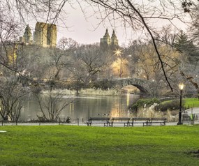 Poszter 60x50cm Központi park Manhattan panorámával 5, Assaf Frank