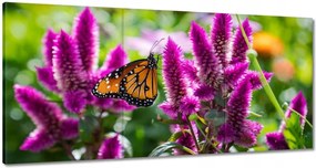 Vászonkép 180x90 Pillangó a virágokon