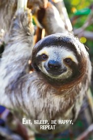 Plakát Smile - Sloth