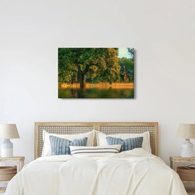 Zsiráf a természetben képe (90x60 cm)
