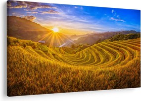 Kép - Rizs teraszok Vietnamban (90x60 cm)