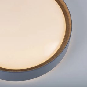 Leuchten Direkt 14347-15-LED állítható mennyezeti lámpa EMILIA 28,8W/230V szürke