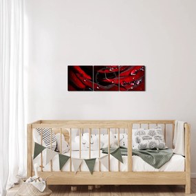 Kép - Rózsa részlete (órával) (90x30 cm)