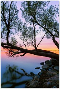 Poszterek 60x90 Sziklák Fa Tó