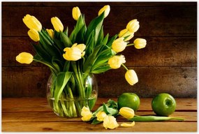 Poszterek 120x80 Sárga tulipánok