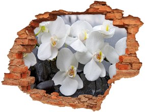 Lyuk 3d fali matrica Orchidea nd-c-143985624