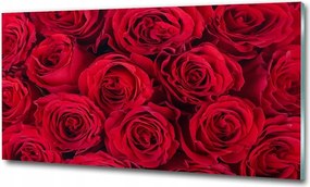 Fotó vászonkép edzett üveg Rózsa 100x70