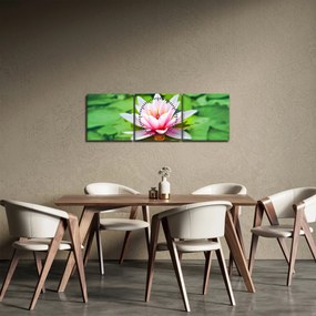 A tavirózsa képe a felszínen (órával) (90x30 cm)