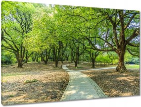 Vászonkép 90x60 Zöld park úttal