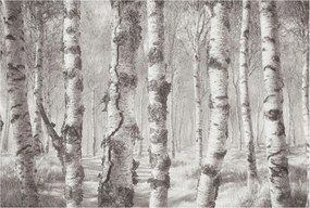 Dekoratív Fotótapéta Hálószobába Nyírerdő 104x70 Ragasztó