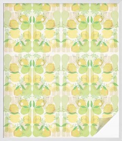 Furnér Ablakfólia Szélvédőre Adatvédelem Friss citrom 100x116