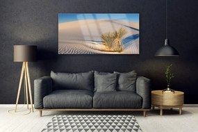 Üvegfotó Fekvő sivatagi homok 120x60cm