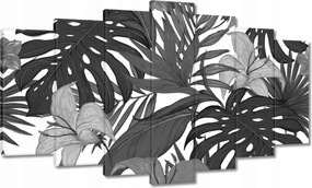 Képek 140x80 Monstera