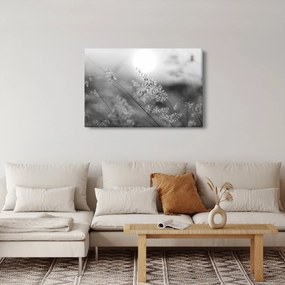 Kép - Őszi rét (90x60 cm)