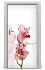 Fotótapéta ajtóra rózsaszín orchidea 75x205 cm