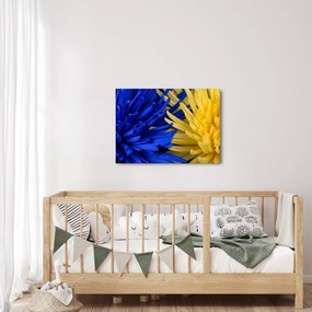 Kép - virág részlet (70x50 cm)