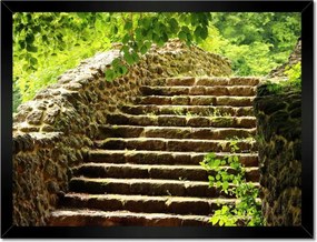 Poszterek keretben 40x30 Lépcsők az erdőbe Kő