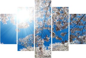 Kép - Cseresznyevirág (150x105 cm)
