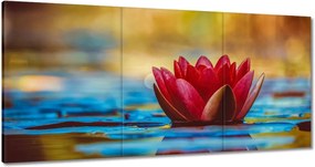 Vászonkép 180x90 Tavirózsa Virág Víz