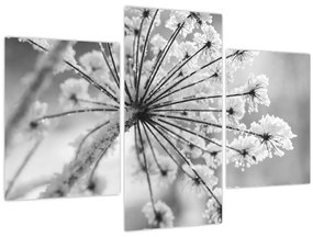Kép - Virág télen (90x60 cm)