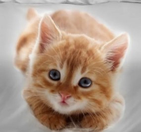 Pamut ágynemű Homa BILI CUTE 3 részes 140x200 cm