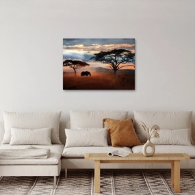 Kép - Serengeti Nemzeti Park, Tanzánia, Afrika (70x50 cm)