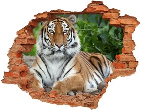 Lyuk 3d fali matrica Szibériai tigris nd-c-129133169