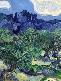 Festmény reprodukció The Olive Trees (Portrait Edition) - Vincent van Gogh, (30 x 40 cm)